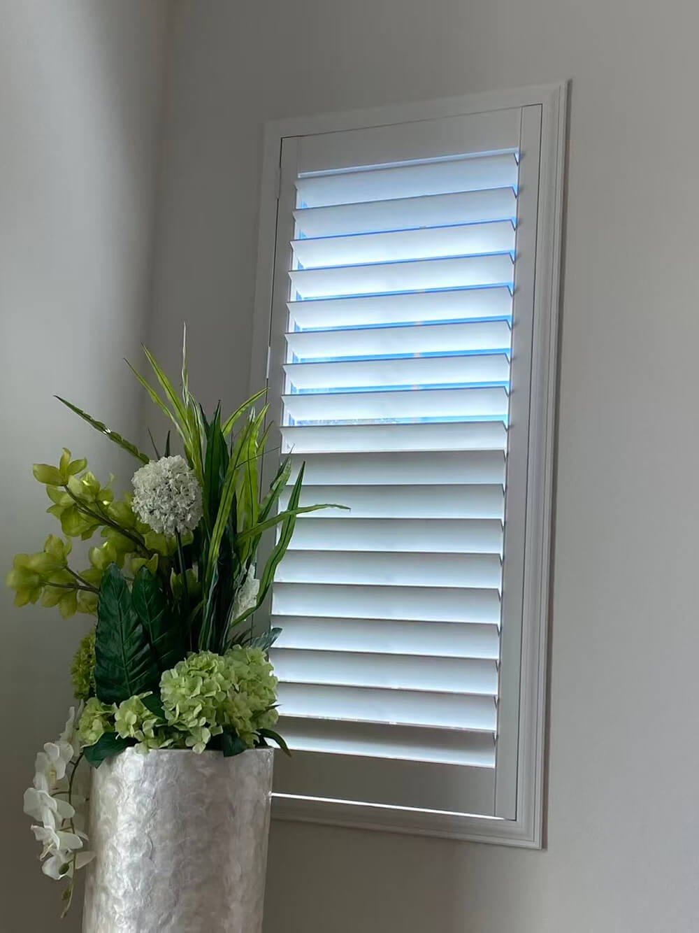 White shutters on a gray wall with a decorative plant in the foreground.