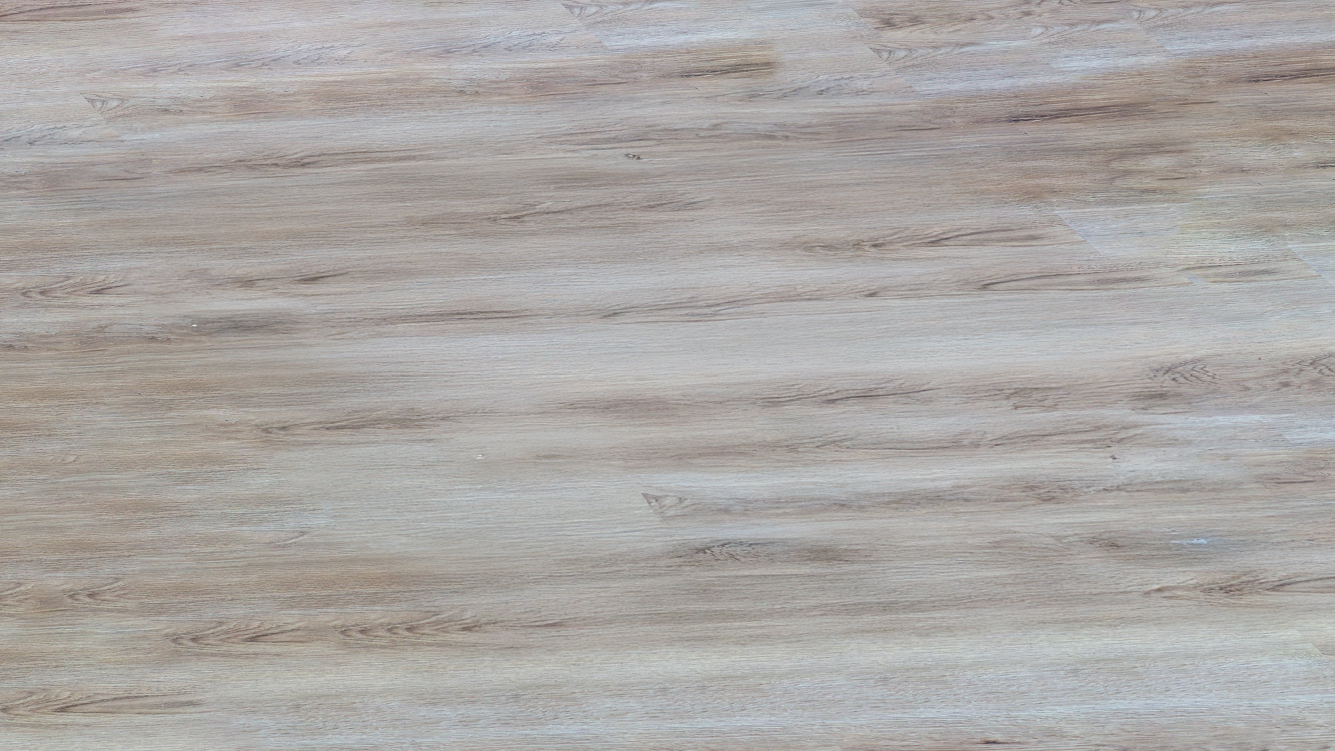 Kacee Canyon Oak LS809W